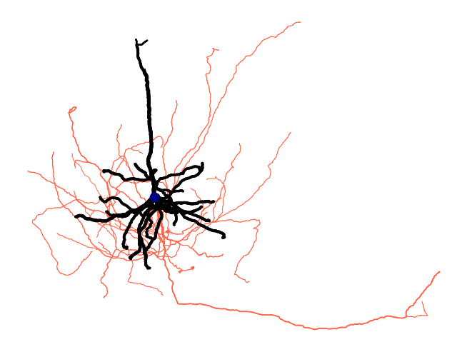 2D cell plot colored by compartment